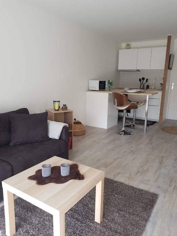 Apartament Laurier Tuluza Zewnętrze zdjęcie